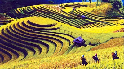 Mở tuyến du lịch cao tốc Yên Bái-Sa Pa