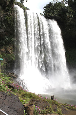 Đamb'ri hùng vĩ và thơ mộng