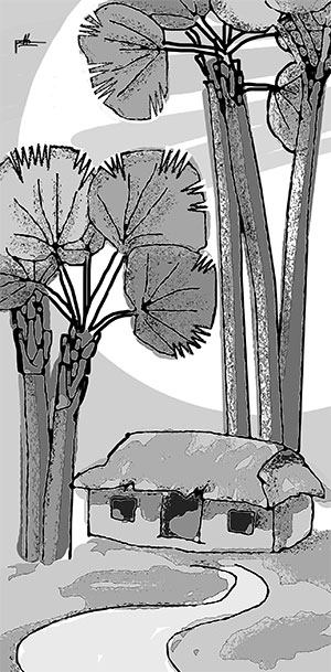 Thương nhớ trung du