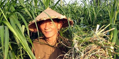Nhớ anh hùng Hồ Giáo