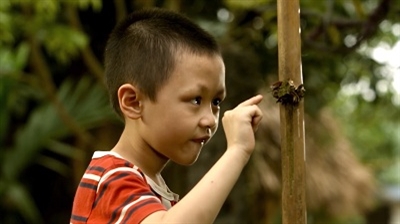 108 phim tham dự Liên hoan Phim ngắn Ong Vàng 2015