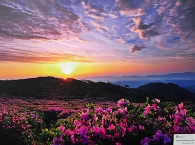 Lễ trao giải Du lịch Hàn Quốc năm 2015