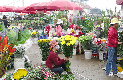 Chợ Bưởi, phố hoa Hà Nội