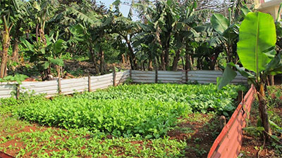 Xây dựng Cồn Cỏ thành đảo Thanh niên vững mạnh