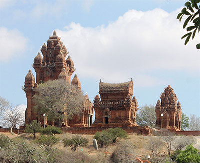 Đóa hoa bất tử trên vùng đất nắng