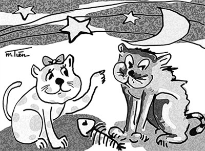 Mèo Nhà và Mèo Hoang