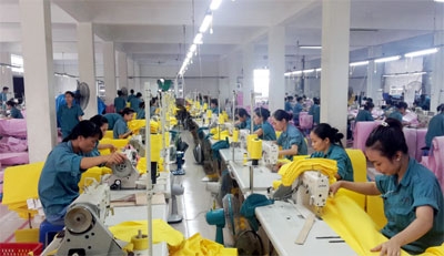 Sức hút của thương hiệu Z176