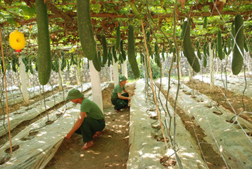 Không chỉ “ăn ngon” và “mặc đẹp”