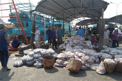 Gỡ khó cho xuất khẩu