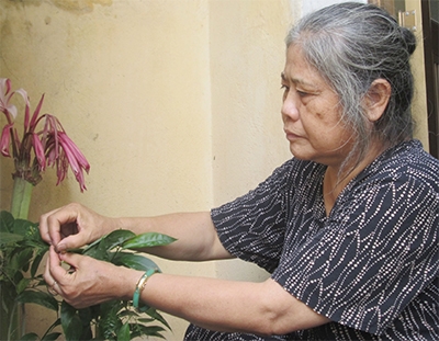 Bà Tình tình nghĩa