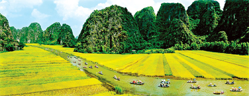 Đón Ất Mùi nhớ Ất Dậu