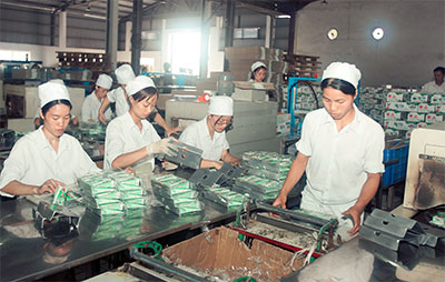 Nhiều giải pháp đạt hiệu quả nhưng không ít khó khăn