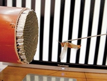 Israel phát triển robot sinh học