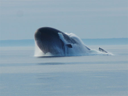 Nga: Hạ thủy tàu ngầm lớp Borey thứ 4