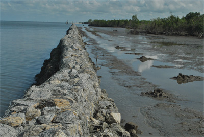 Thiếu giải pháp tổng thể