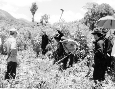 Đưa anh về đất mẹ