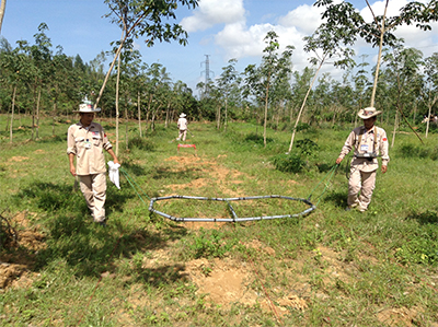 Trả lại sự bình yên cho lòng đất