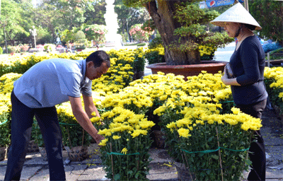 TP Hồ Chí Minh: Khai mạc chợ hoa Tết Quý Tỵ 2013