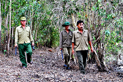 Đồng bằng sông Cửu Long: Nhiều khu rừng có nguy cơ bị cháy