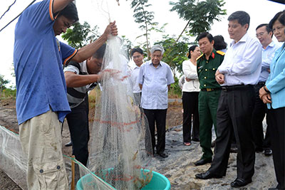 Nông thôn mới trên vùng đất mặn