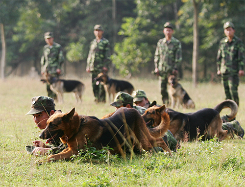 “Nhà trường đặc biệt” của Bộ đội Biên phòng