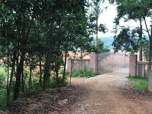 Phải xử lý nghiêm những hành vi vi phạm