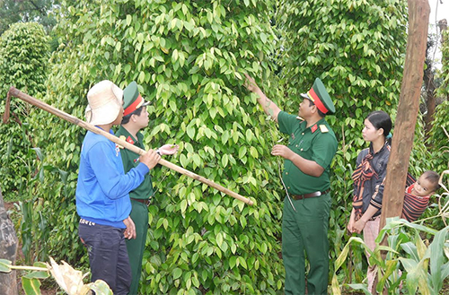 Tiếp sức, giúp dân thoát nghèo