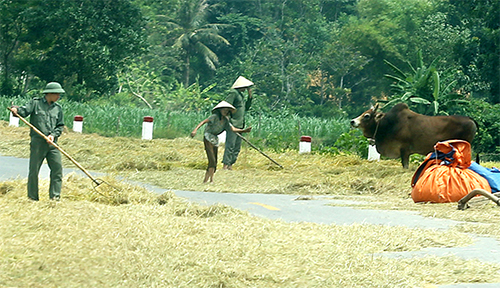 Mối nguy hiểm trên đường