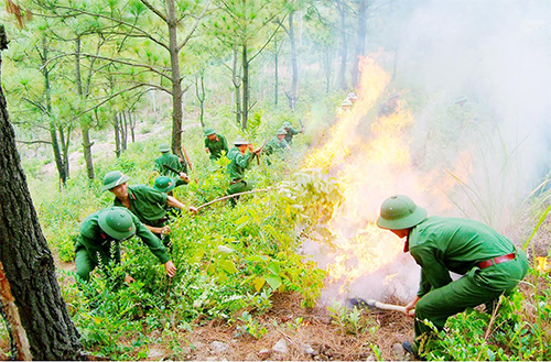 Thắng “giặc lửa” bảo vệ rừng