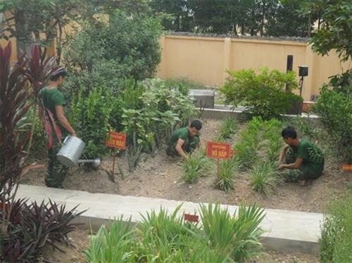 Đưa tình huống thực tế vào hội thi