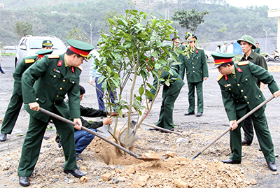 Các cơ quan, đơn vị hưởng ứng Tết trồng cây