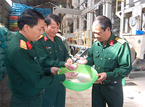 Hiệu quả từ mô hình sản xuất tập trung ở Quân đoàn 3