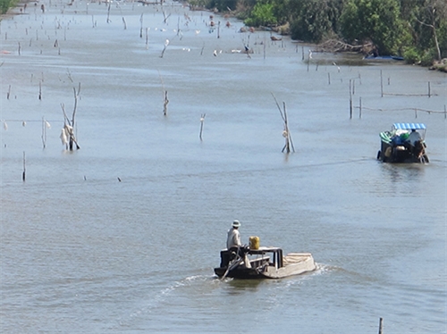 Cà Mau: Khó khăn trong quản lý vỏ lãi