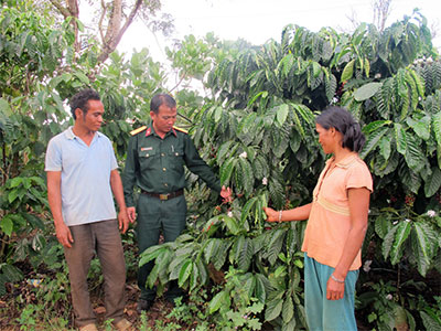 Tạo thế vững cho vùng đất Nam Tây Nguyên