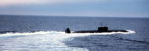 Khi “cá vàng” đã không còn hợp thời