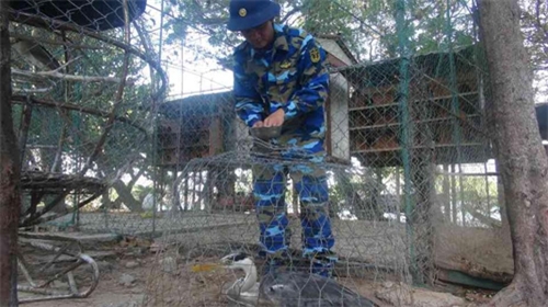 Để Song Tử Tây thêm đẹp, thêm vui