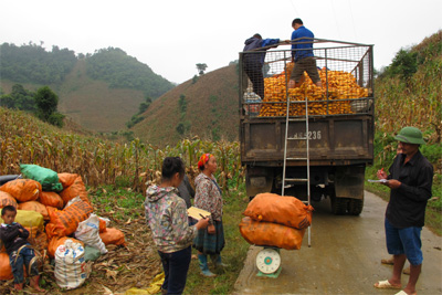 “Lên mạng” ở Pà Cò