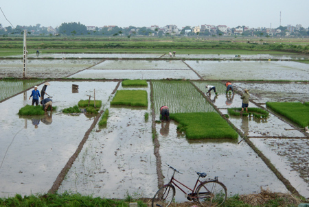 Dự thảo Luật Đất đai (sửa đổi): Nhiều “nút thắt” cần được tháo gỡ!