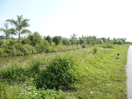 Án có hiệu lực sau gần một năm vẫn chưa được thi hành