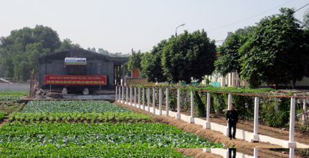 Đầu tư gần 8 tỷ đồng cho tăng gia sản xuất