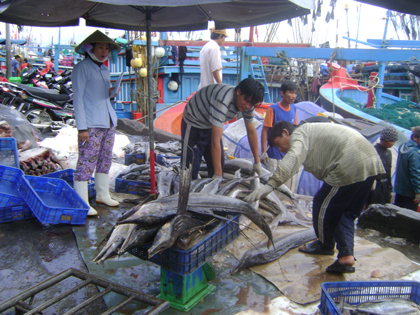 Đánh thức tiềm năng vùng duyên hải Nam Trung Bộ