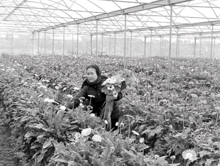 Bài 3:  Tạo bước đột phá trên cánh đồng