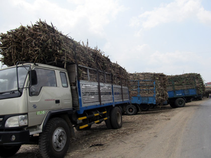 Lại lao đao vì bán chậm, giá thấp