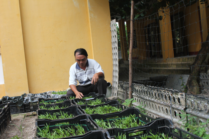 Ngành nông nghiệp “xắn tay” vào cuộc