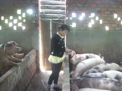 Vợ đảm trên quê mới