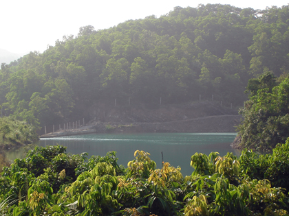 Phủ xanh những bãi thải nghèo