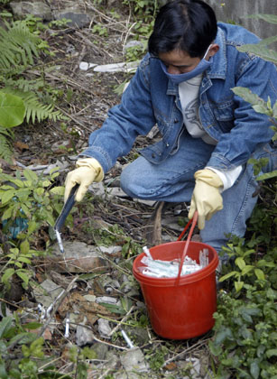 Khâu phân loại, xử lý còn nhiều bất cập