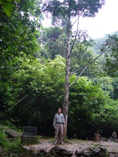 Nên được công nhận là vườn quốc gia