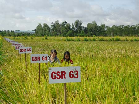 Gỡ ngay những nút thắt  