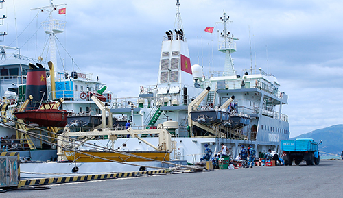 Công tác chuẩn bị chuyển hàng Tết ra Trường Sa cơ bản hoàn tất 